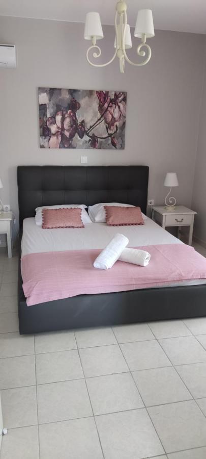 Simplicity Apartment
